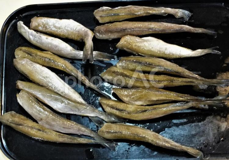 氷下魚の一夜干し 氷下魚,こまい,小魚の写真素材