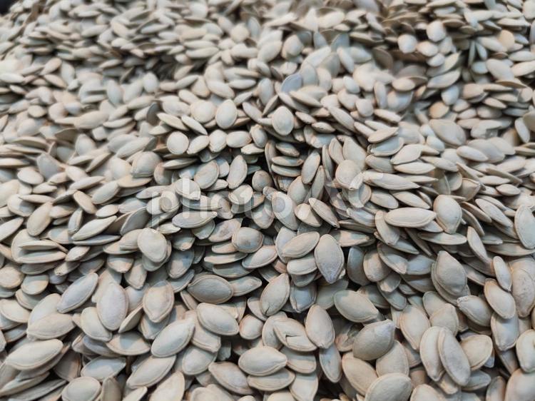 かぼちゃの種　量り売り かぼちゃの種,健康,食べ物の写真素材