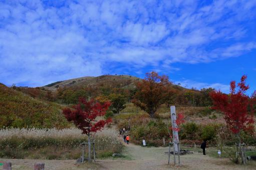 秋の深入山にレクリエーション-1 秋の深入山にレクリエーション-1の写真