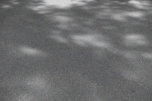 Shadows of sunlight filtering through the trees, JPG Shadows of sunlight filtering through the trees, JPG