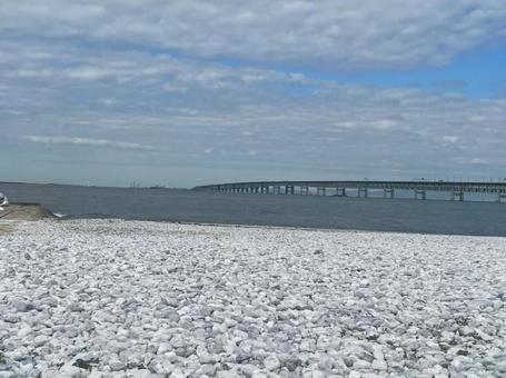 関空連絡橋　マーブルビーチ　りんくう公園 関空連絡橋,マーブルビーチ,りんくう公園の写真素材