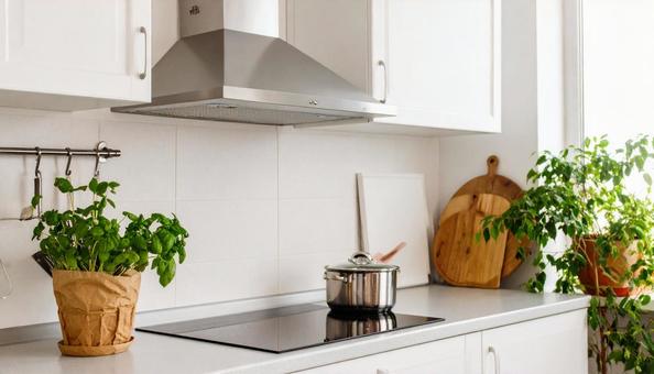 植物を飾ったレンジフード・換気扇 植物を飾ったレンジフード・換気扇の写真