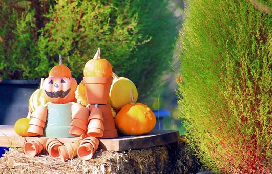 ハロウィン飾り・展示/とっとり花回廊 ハロウィン飾り・展示/とっとり花回廊 ハロウィン,秋,収穫祭の写真素材