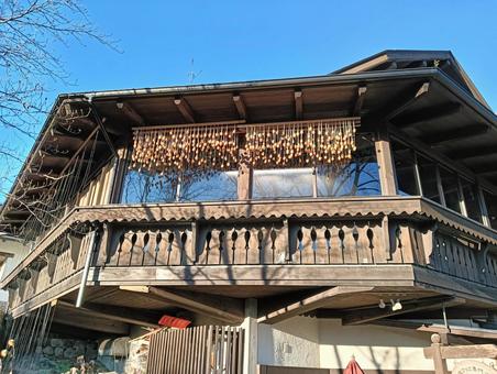 干し柿 干し柿,柿,果物の写真素材