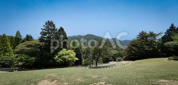 青空と緑の山並みが広がる自然風景 青空,緑,山の写真素材