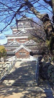 広島コレクション 広島コレクションの写真