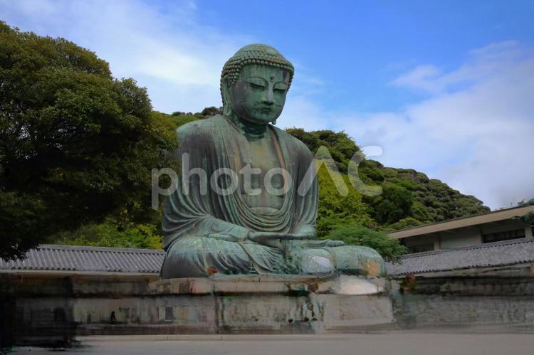 鎌倉大仏ー鎌倉市ー神奈川県 大仏,鎌倉大仏,国宝銅像の写真素材