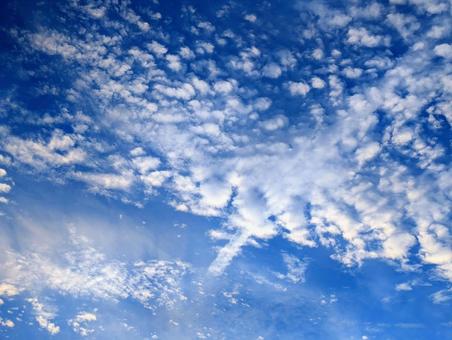澄みきった秋の空とうろこ雲3 澄みきった秋の空とうろこ雲3の写真
