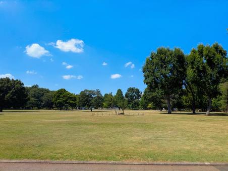 武蔵国分寺公園 武蔵国分寺公園 背景,自然,空の写真素材