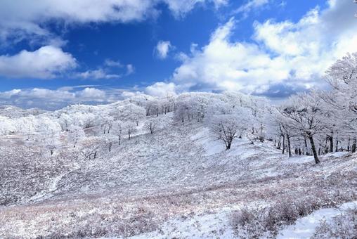 冬の明神平 冬の明神平の写真