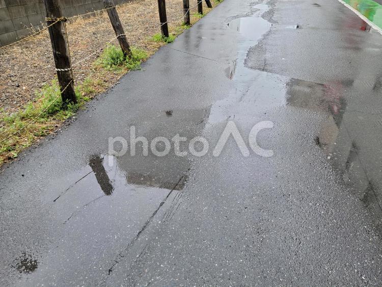 雨の日の午後 雨,道路,水たまりの写真素材