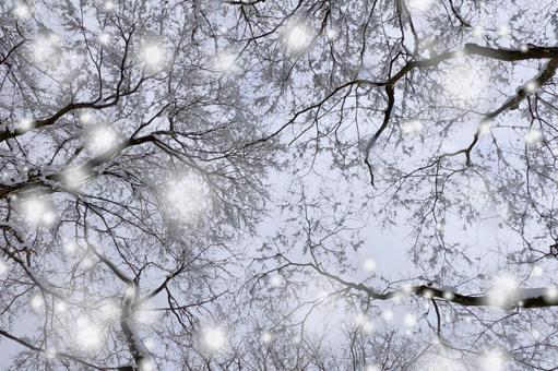 白い雪 雪,冬,粉雪の写真素材