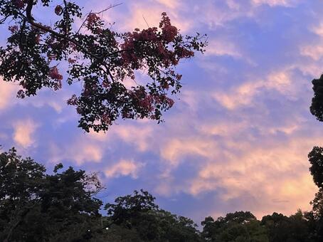 あの日の空 空,夕日,きれいの写真素材