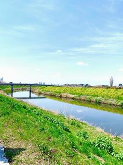 Photo, spring, chuan, riverside, 