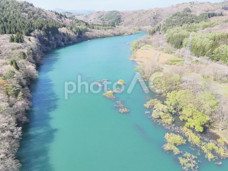 北上川　水辺② 川,水没林,林の写真素材