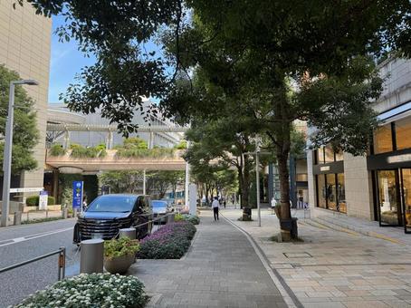 六本木けやき坂通り 六本木,けやき坂,けやき坂通りの写真素材