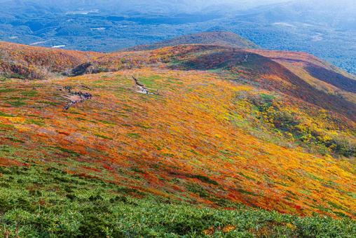 秋色に染まる 栗駒山の絶景 秋色に染まる 栗駒山の絶景の写真