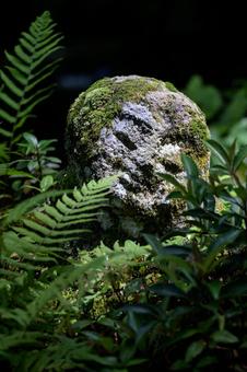 大原三千院の地蔵 大原三千院の地蔵 苔,地蔵,風景の写真素材