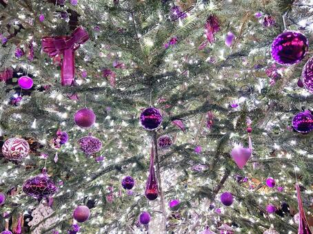 クリスマスツリーとイルミネーション イルミネーション,光,電球の写真素材