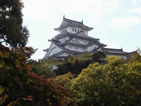 【風景写真】姫路城の風景 【風景写真】姫路城の風景の写真