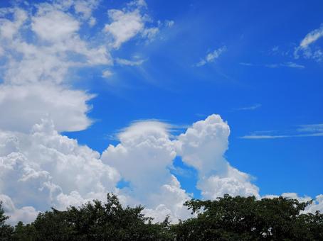 Midsummer cumulonimbus, JPG