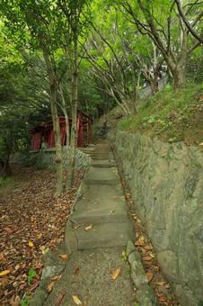 八幡浜市　愛宕山王照院　鳥居と遊歩道 愛宕山王照院,愛宕山,神社の写真素材