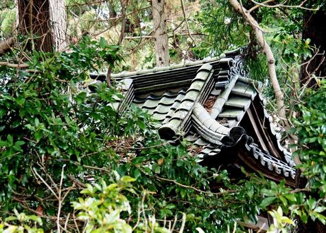 山影に張付いて建てられた社殿 山影に張付いて建てられた社殿 社殿,神様,木製屋根の写真素材