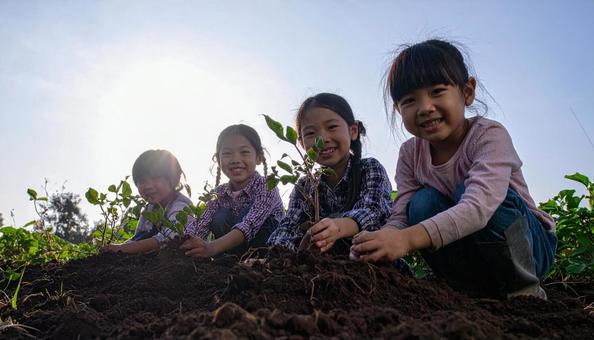 芋掘りする子供 芋掘りする子供の写真