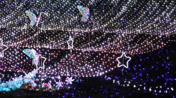 虹の郷　イルミネーション イルミネーション,クリスマス,夜景の写真素材