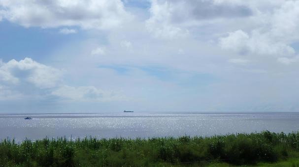 芝生と海 芝生と海 芝生,海,青空の写真素材