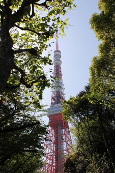 東京タワー 東京タワーの写真