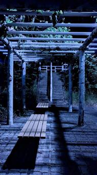 夜中のベンチ 夜中のベンチ 風景,椅子,ベンチの写真素材