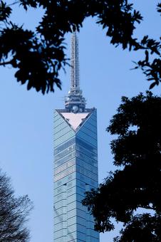 福岡タワー 福岡タワー 観光地,福岡,fukuokaの写真素材