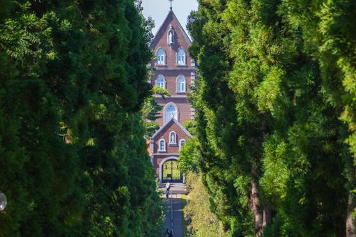 トラピスト修道院の並木道 トラピスト修道院の並木道の写真