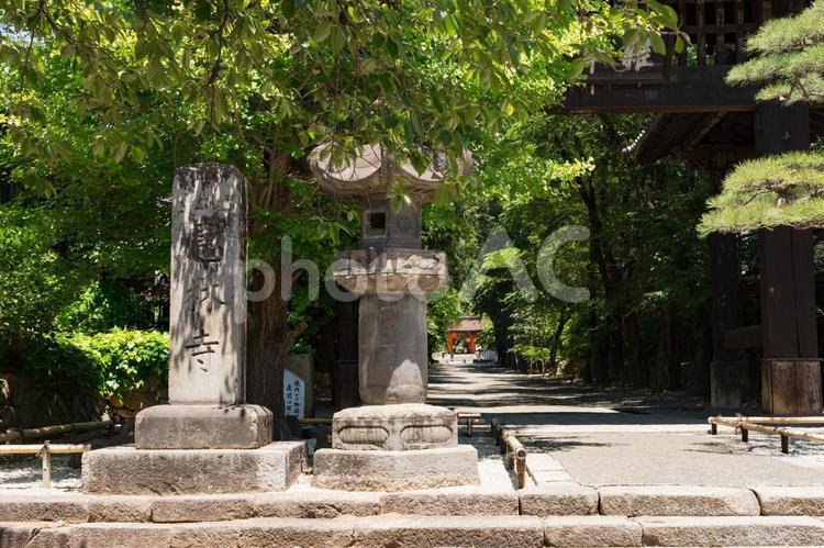 山梨県甲州市　恵林寺 山梨県,恵林寺,甲州市の写真素材