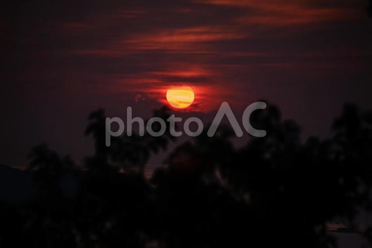 ＜素材＞森の中から眺める夜明けの太陽 夜明け,日の出,夕方の写真素材