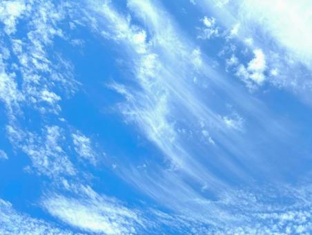 青い空を見上げるの写真