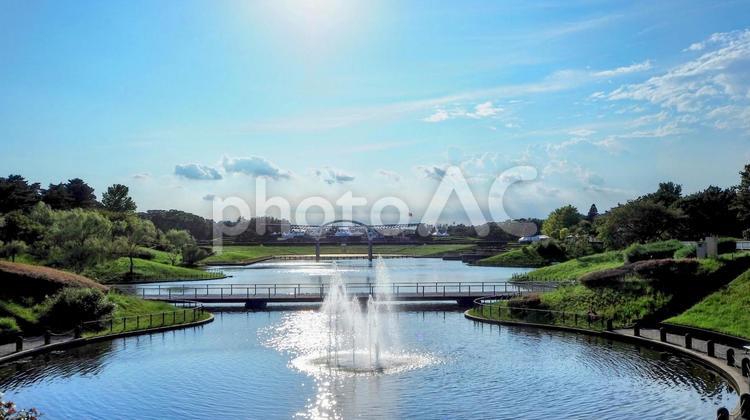 初秋の国営ひたち海浜公園・西池の噴水 初秋,国営ひたち海浜公園,西池の写真素材