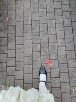 石畳と私の足元 地面,石畳,靴の写真素材