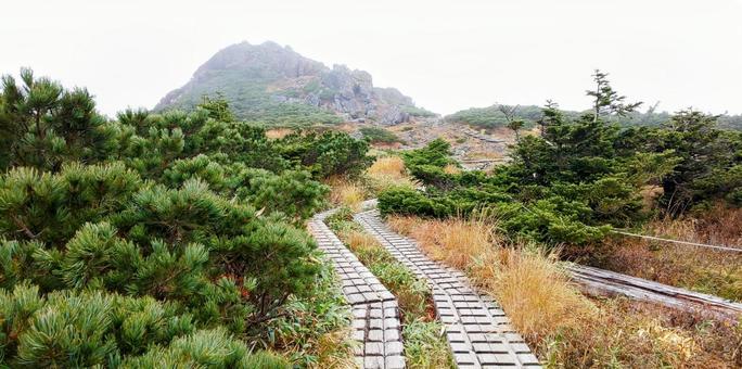 早池峰山登山道 早池峰山登山道の写真