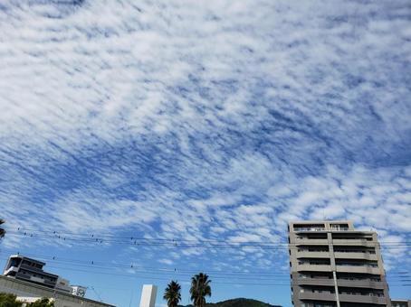 秋空5 秋空5の写真
