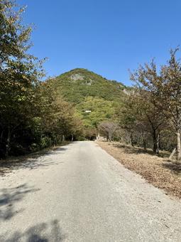 高屋神社 ～天空の鳥居～のふもと 天空の鳥居,高屋神社,パワースポットの写真素材