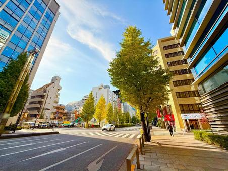 秋の都心のストリートとビル群 青空,空,ブルースカイの写真素材