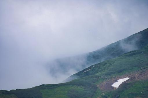 霧 山 初夏③ 霧 山 初夏③の写真