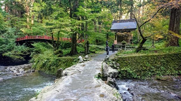 山奥の遊歩道 山奥の遊歩道の写真