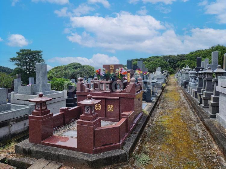 お墓参り　初秋 墓参り,秋,初秋の写真素材