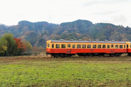 小湊鐵道 小湊鐵道,紅葉,駅の写真素材