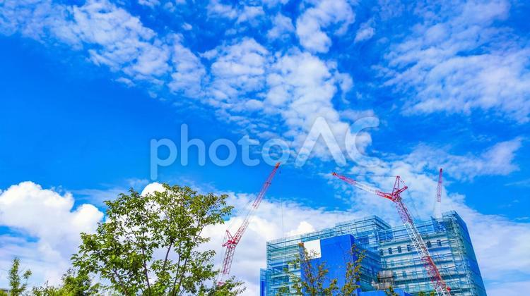 青空と工事中の建物 さわやか,青空,クレーンの写真素材