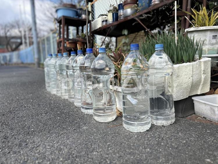 路上の猫除け　猫対策用のペットボトルの水 猫,猫除け,ネコの写真素材