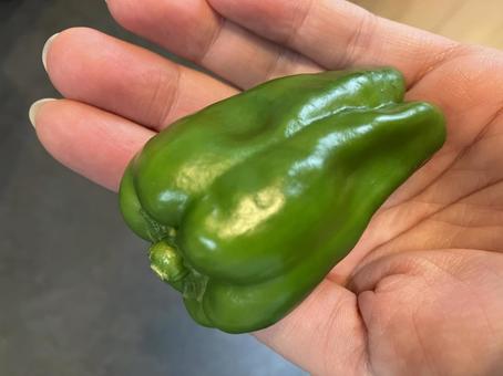 手の上のピーマン 手の上のピーマン ピーマン,野菜,手のひらの写真素材